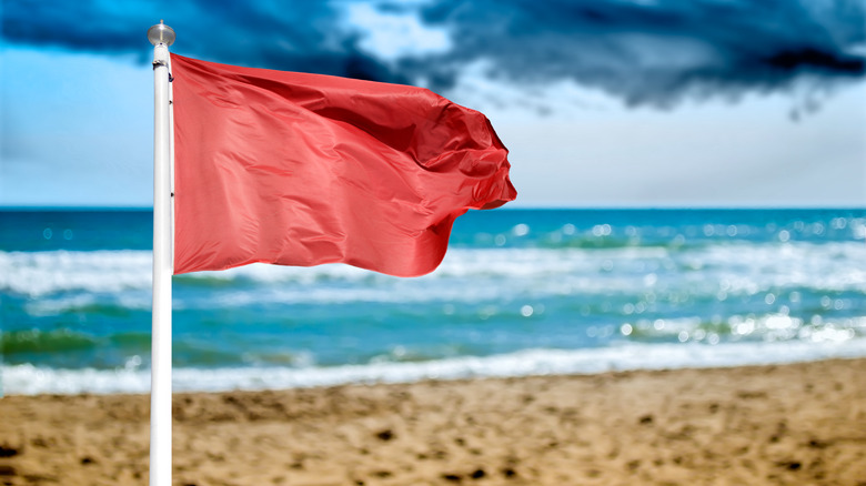 Drapeau rouge sur la plage