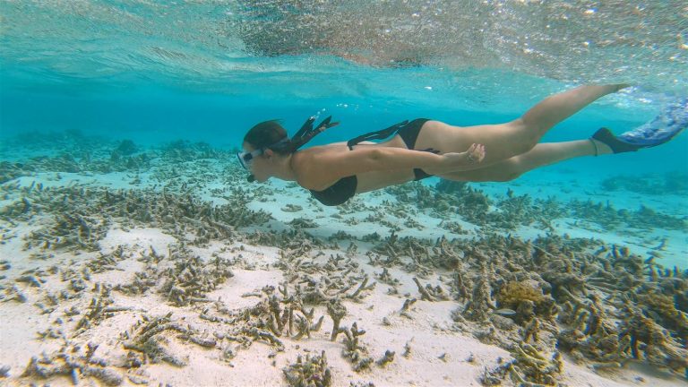 Tourisme de dernière chance : comment agir sans nuire