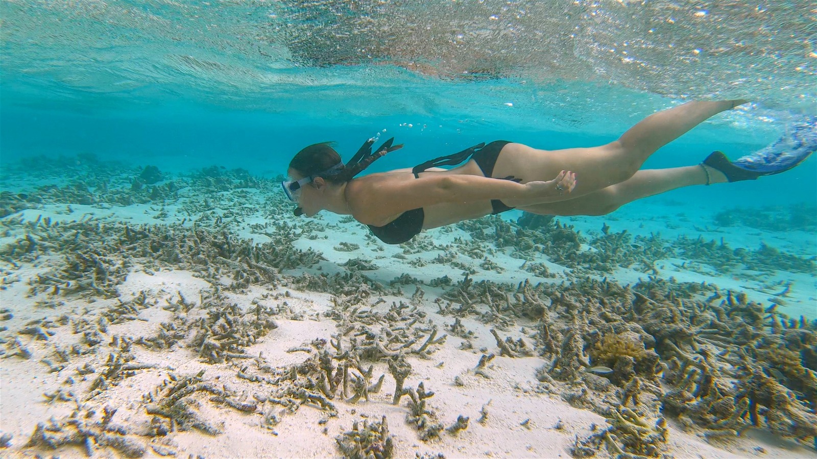 Tourisme de dernière chance : comment agir sans nuire
