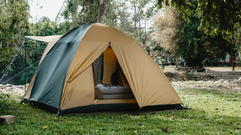Tente dans un camping en herbe